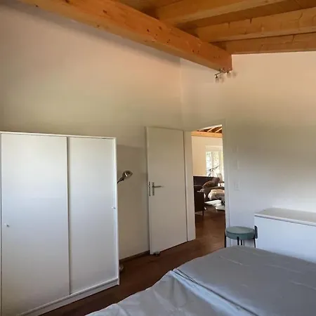 Terrace Vista アパート インターラーケン